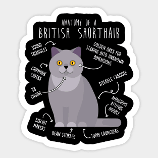 British Shorthair Cat Anatomy Sticker